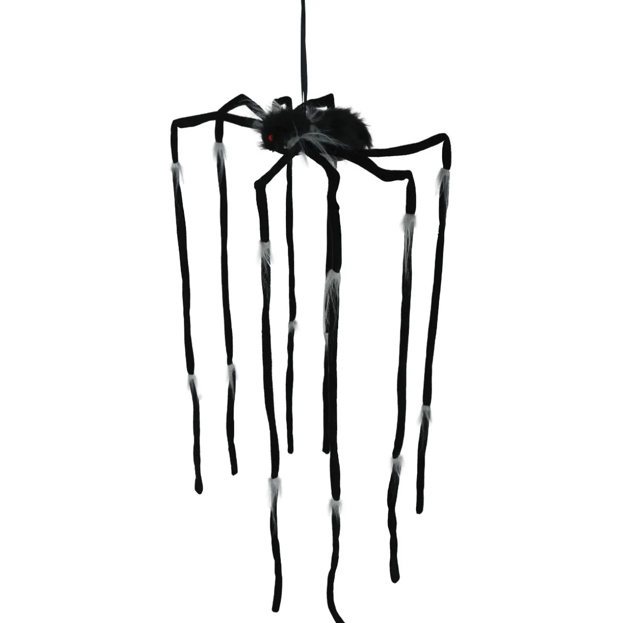 Araña Colgante