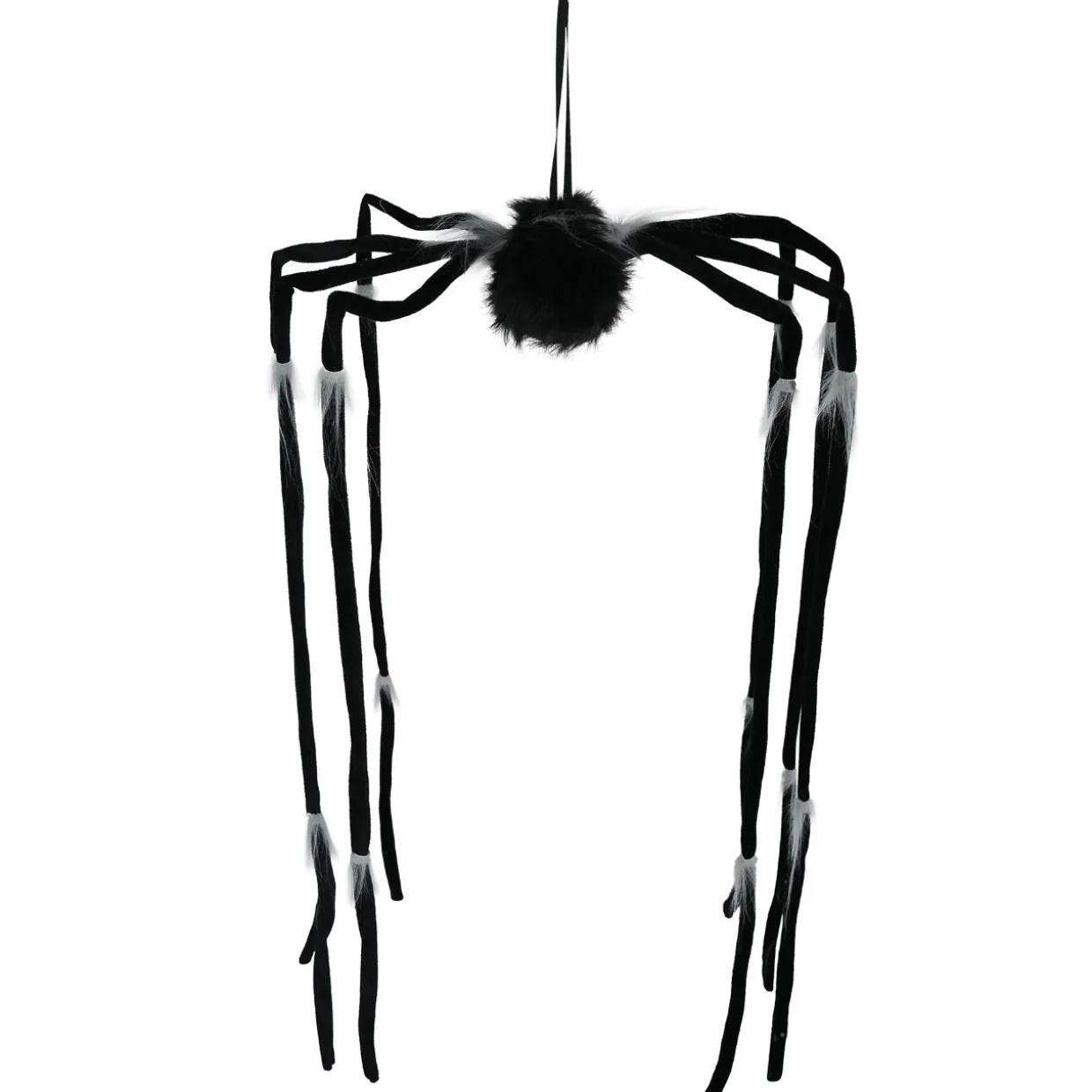 Araña Colgante