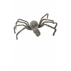 Araña Gris Grande