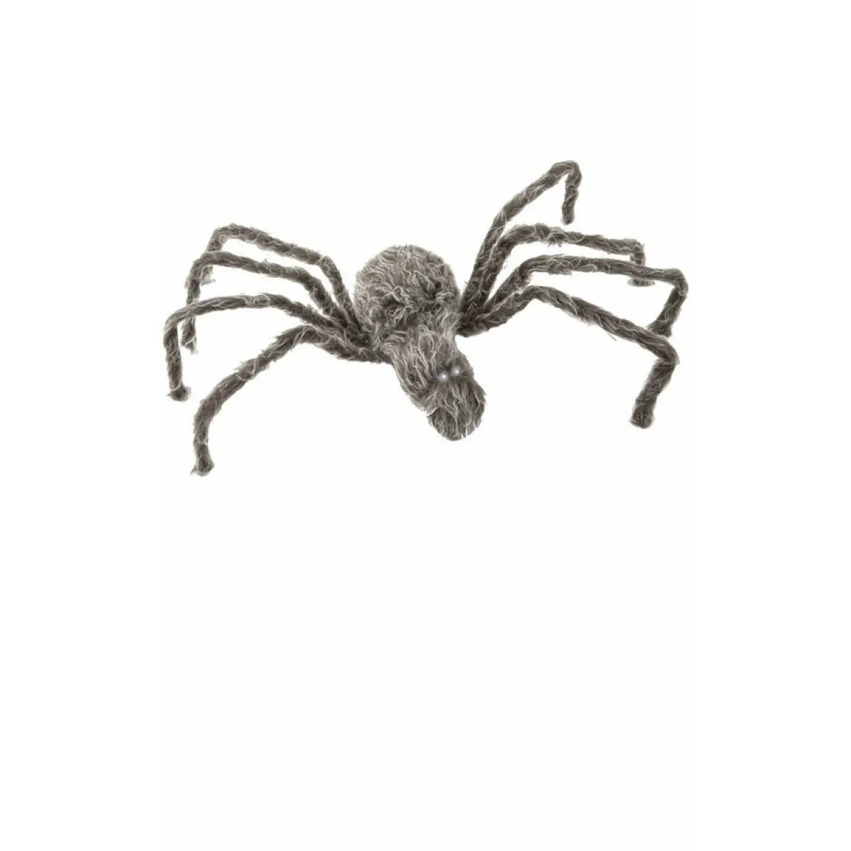 Araña Gris Grande
