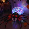 Araña Hinchable Luminosa