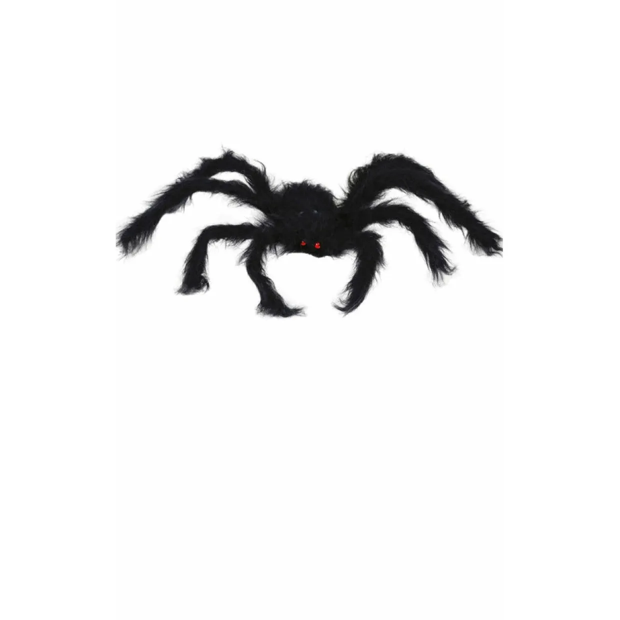 Araña Negra Peluda