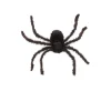 Araña Peluda Gigante