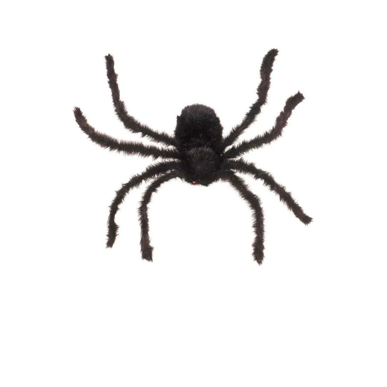 Araña Peluda Gigante