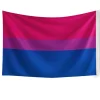 Bandera Bisexual 150cm