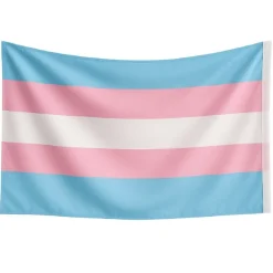 Bandera Transgénero 150cm