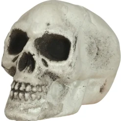 Bolsa de 6 Calaveras Siniestras