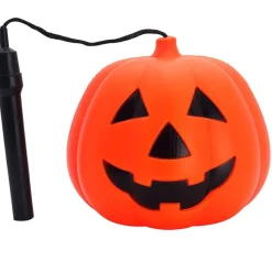Calabaza Redonda Luz