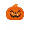 Calabazas Naranja Luminosa