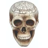 Calavera Brujería
