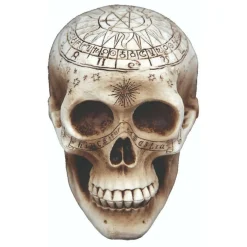 Calavera Brujería