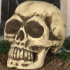 Calavera Grande Foam