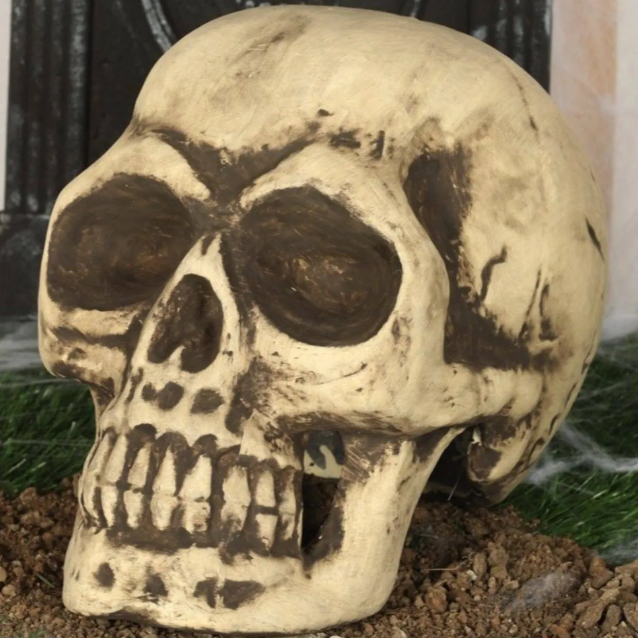 Calavera Grande Foam
