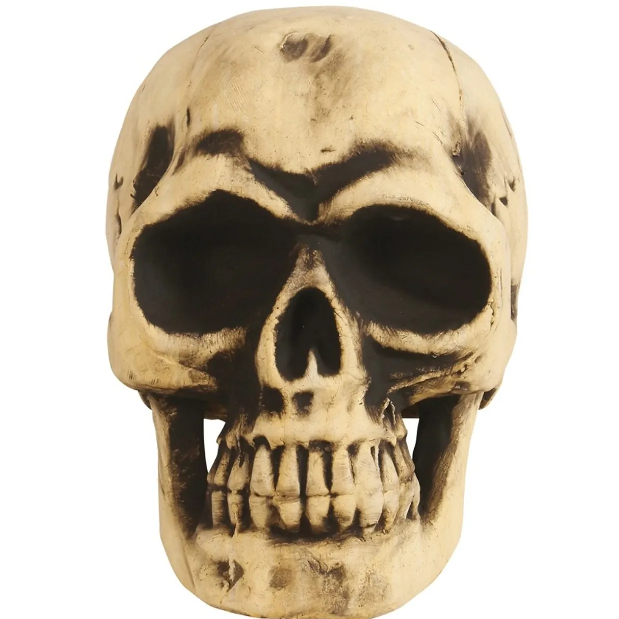 Calavera Grande Foam