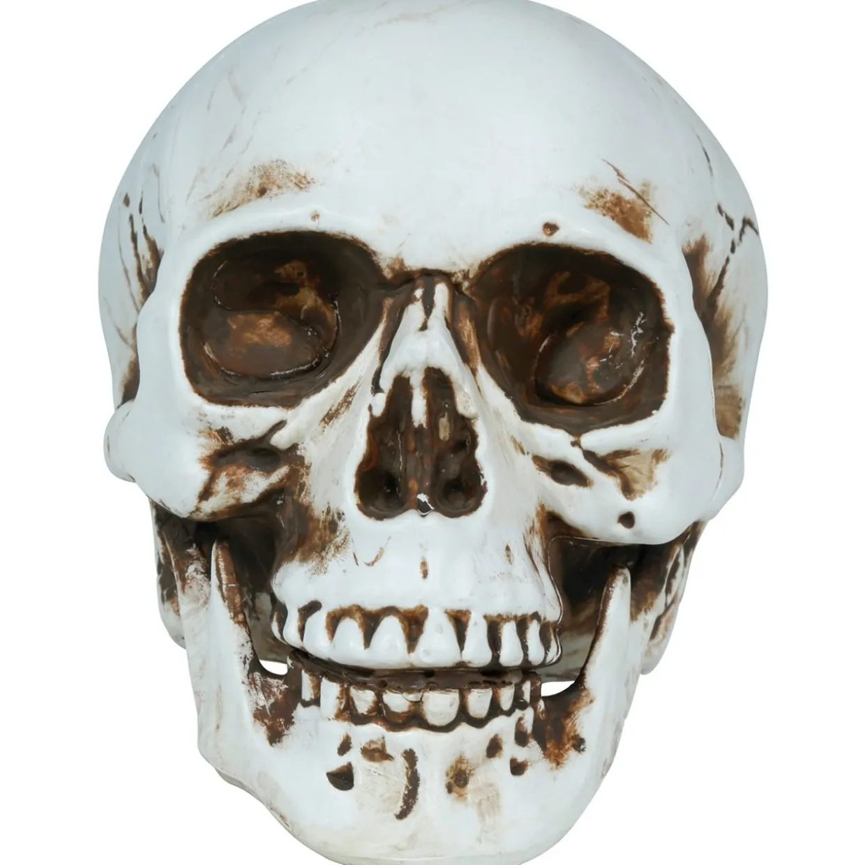Calavera Halloween