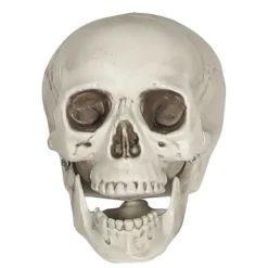 Calavera Terrorífica
