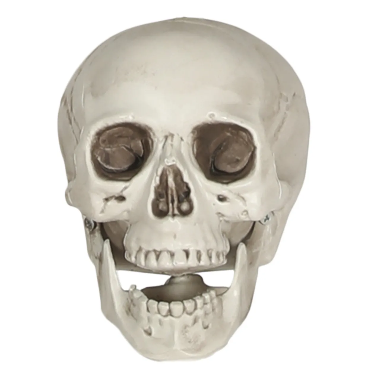 Calavera Terrorífica