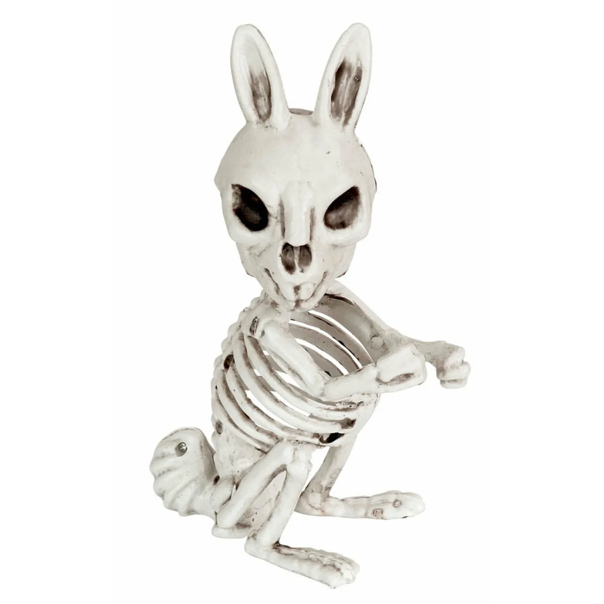 Conejo Esqueleto