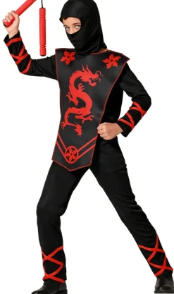Disfraces en Grupo de Ninjas Secretos
