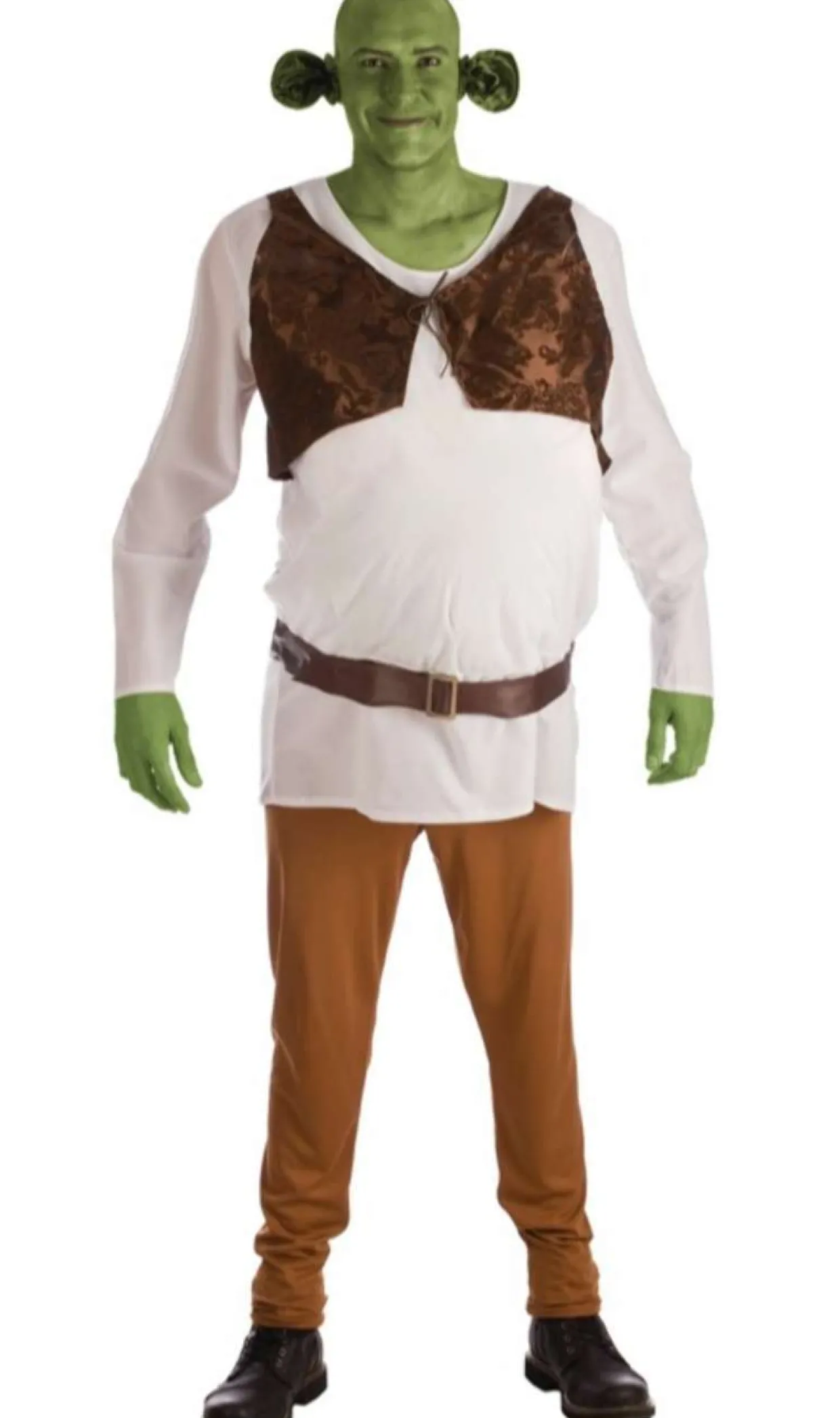 Disfraces en grupo de Shrek