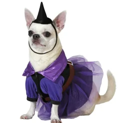 Disfraz de Bruja Matilda para mascota