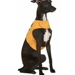 Disfraz de Calabaza Naranja para mascota