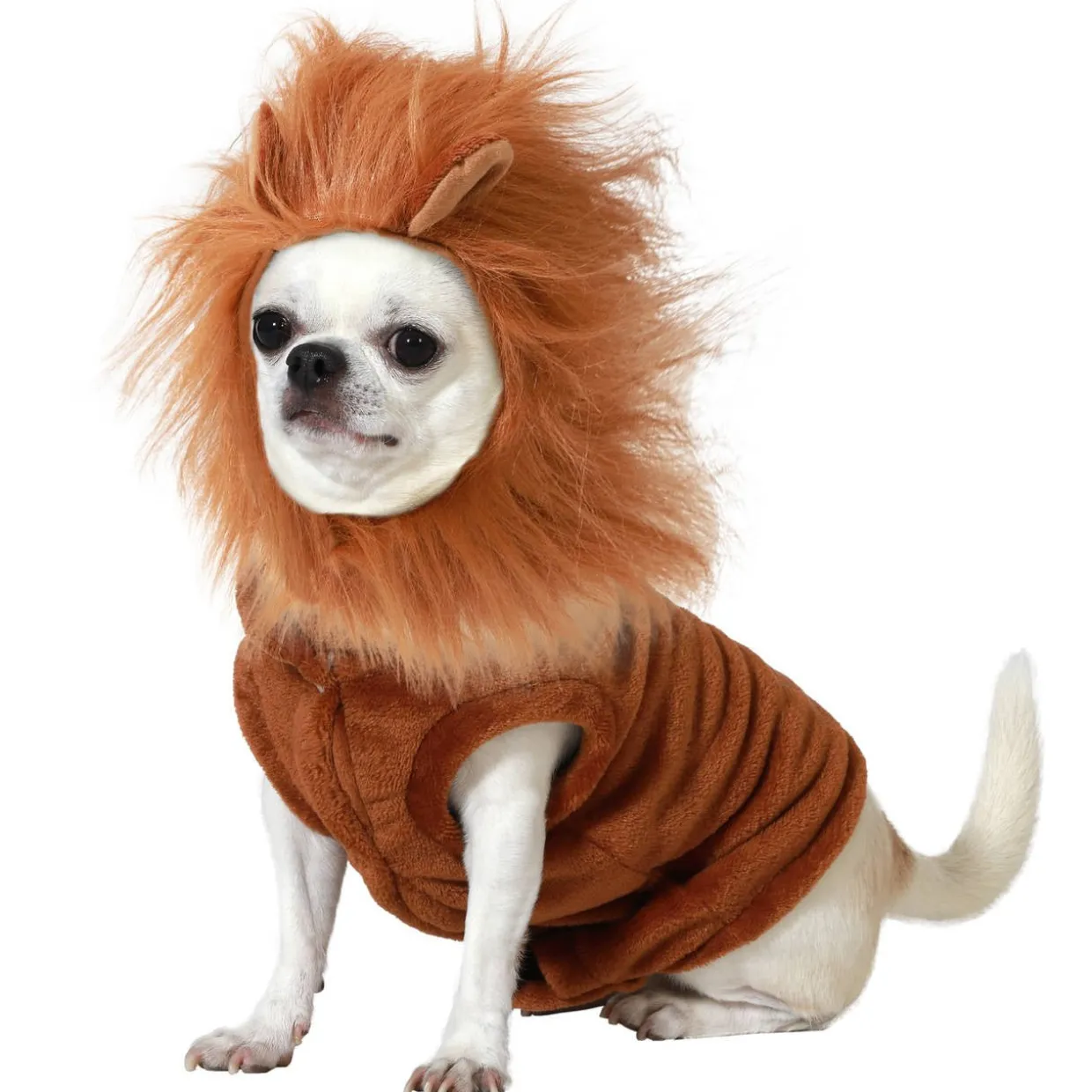 Disfraz de León para mascota