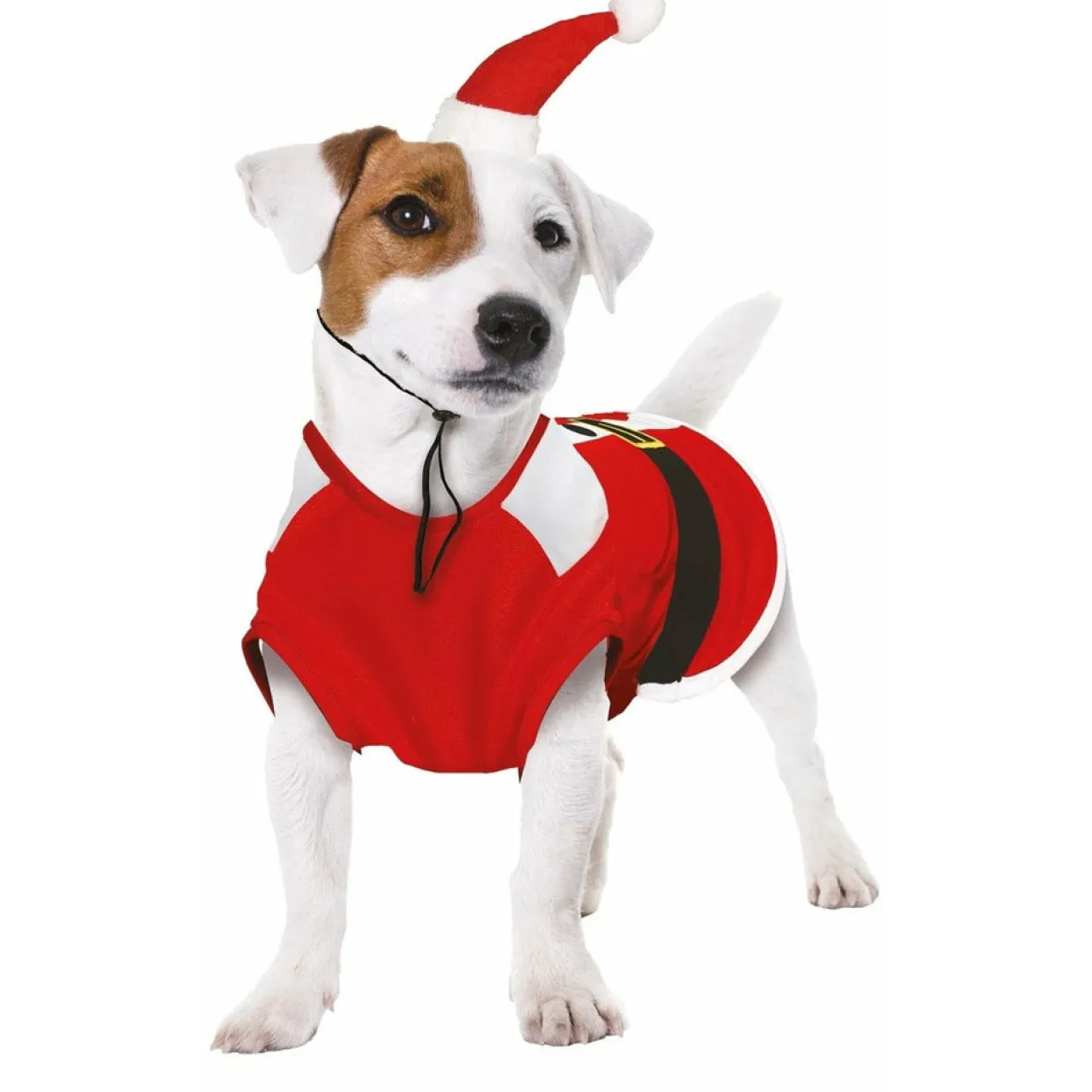 Disfraz de Papá Noel Claus para mascota