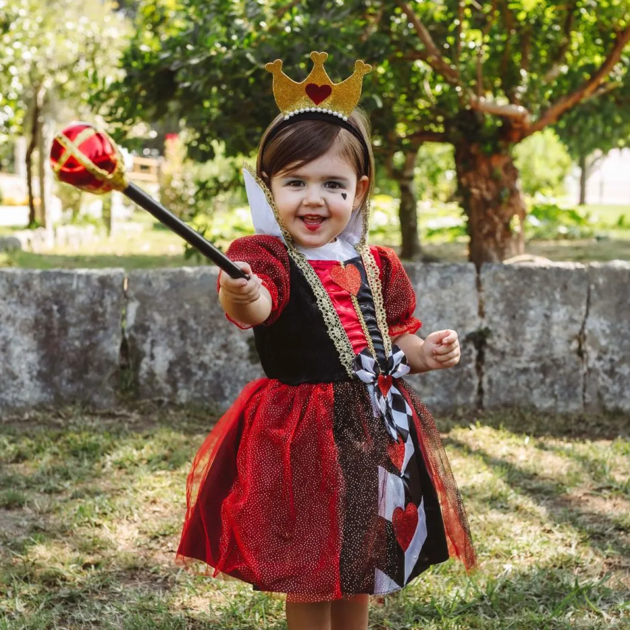 Disfraz de Reina Corazones Tul para niña