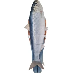 Disfraz de Sardina Divertida para adulto