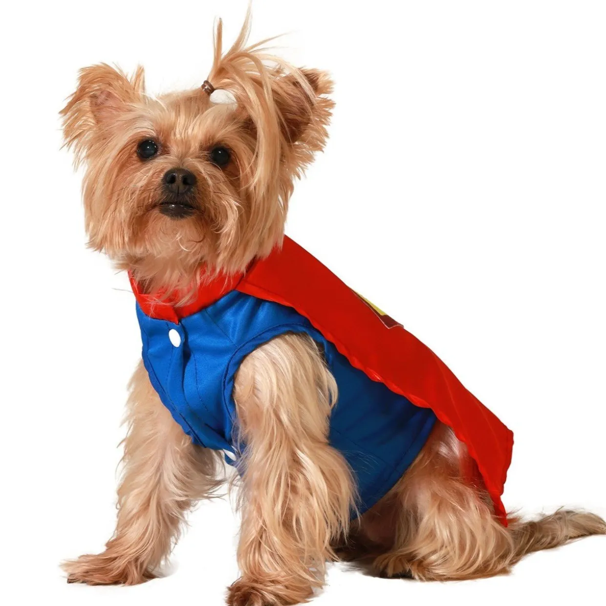 Disfraz de Superhéroe para mascota