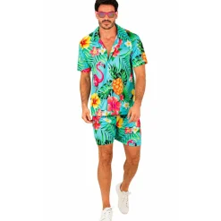 Disfraz Hawaiano Tropical para hombre