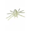 Esqueleto Araña