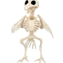 Esqueleto de Cuervo