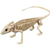 Esqueleto de Iguana