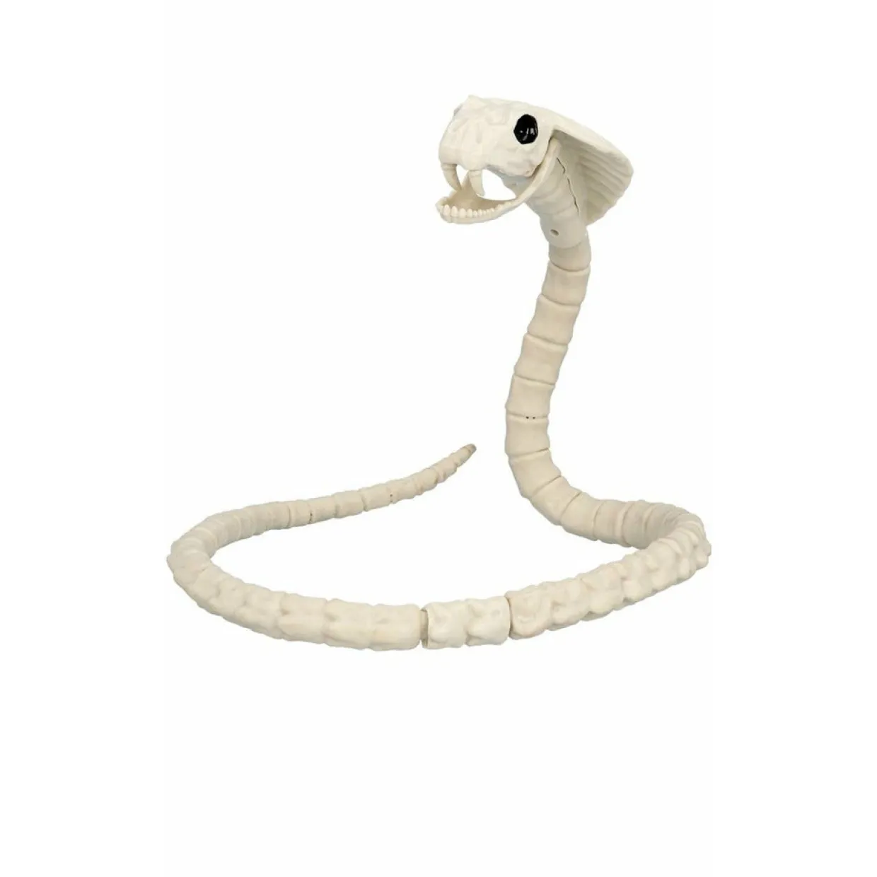 Esqueleto de Serpiente