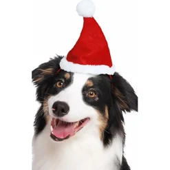 Gorro de Papá Noel para mascotas