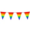 Guirnalda Multicolor LGTB