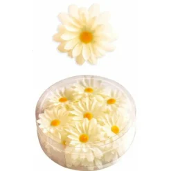 Margaritas Decorativas