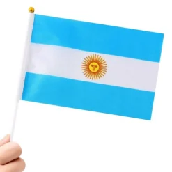 Pack de 24 Banderines de Argentina 20x30cm