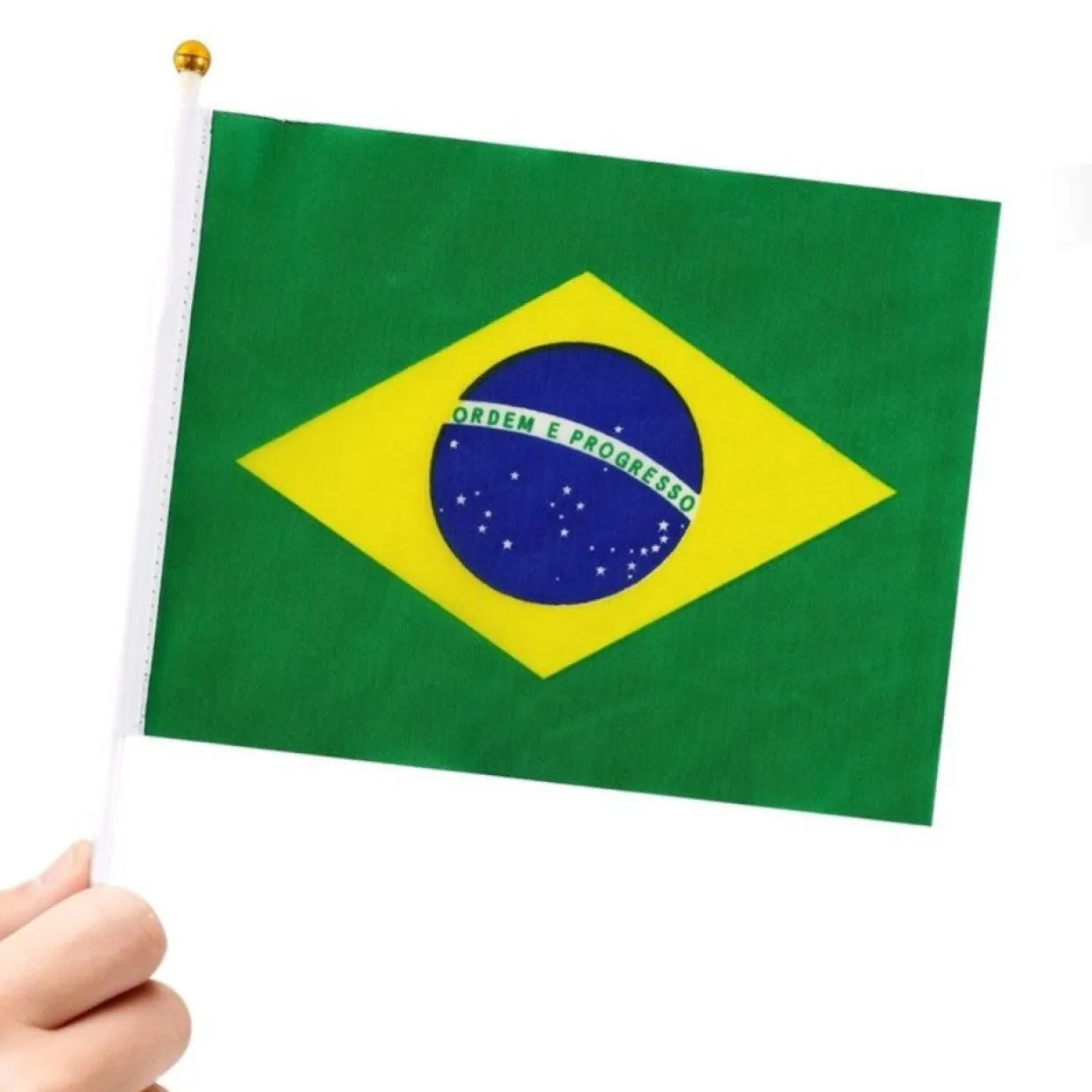 Pack de 24 Banderines de Brasil 20x30cm
