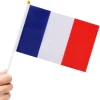 Pack de 24 Banderines de Francia 20x30cm