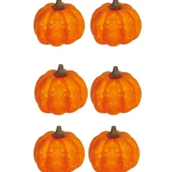 Pack de 6 Calabazas Minis