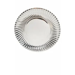 Platos Plateados Metalizados