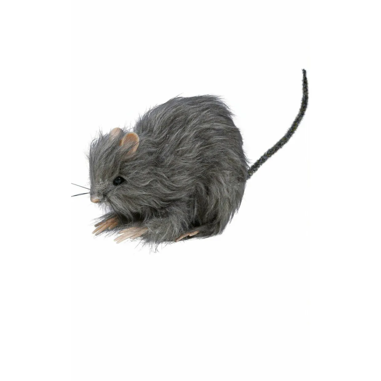 Rata Pequeña