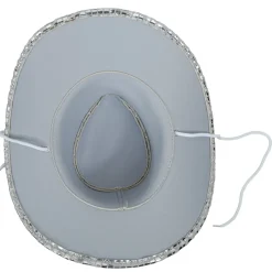 Sombrero de Vaquera Plateado